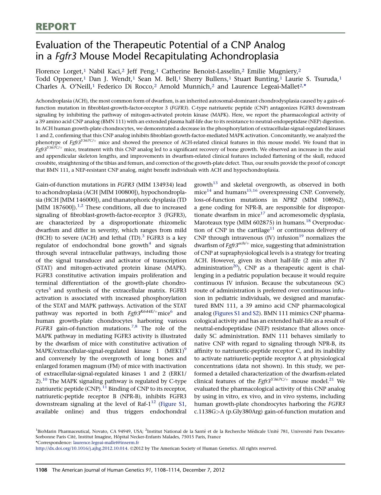 Evaluation of the Therapeutic Potential of a CNP Analog in a Fgfr3 Mouse Model Recapitulating Achondroplasia by unknow