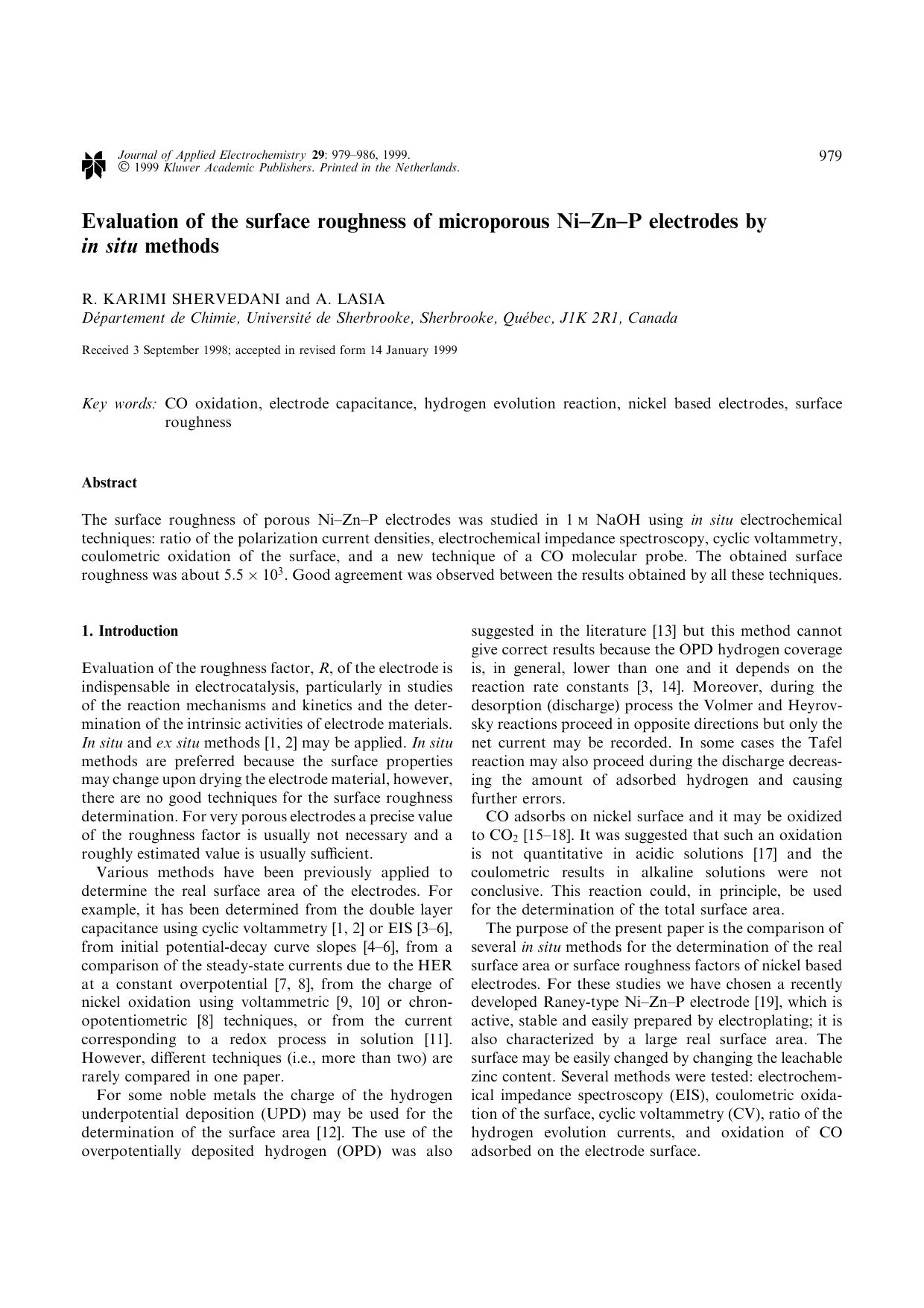 Evaluation of the surface roughness of microporous Ni&#x2013;Zn&#x2013;P electrodes by in situ methods by Unknown