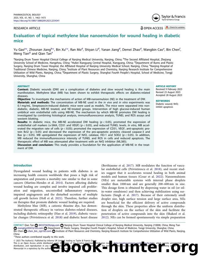 Evaluation of topical methylene blue nanoemulsion for wound healing in diabetic mice by unknow