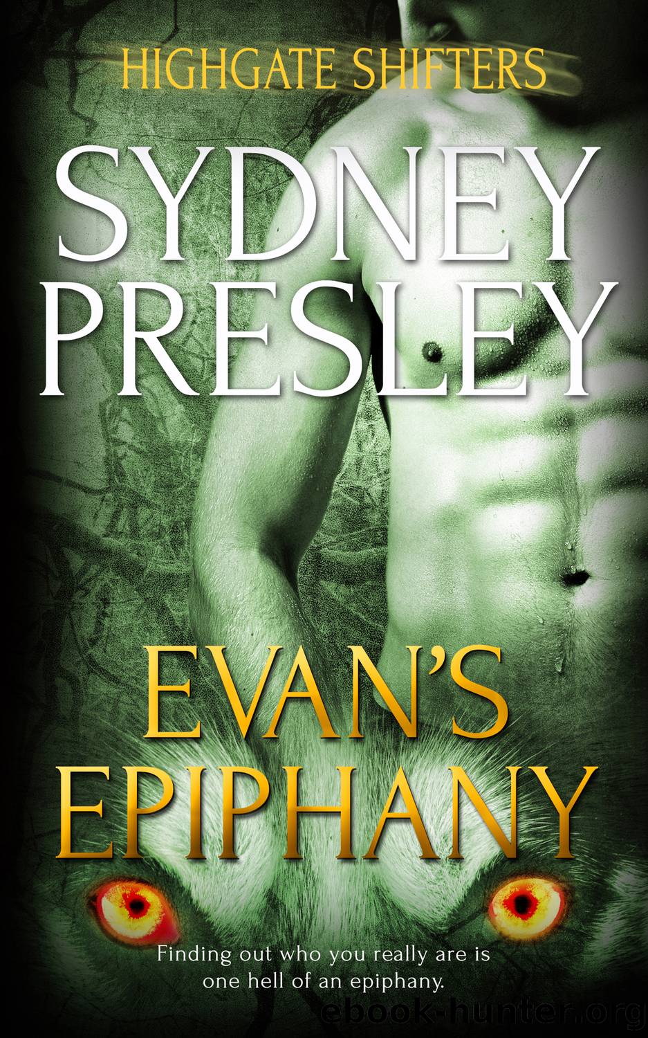 Evan's Epiphany by Sydney Presley
