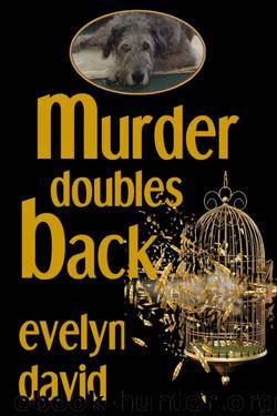 Evelyn David - Sullivan Investigations 03 - Murder Doubles Back by Evelyn David