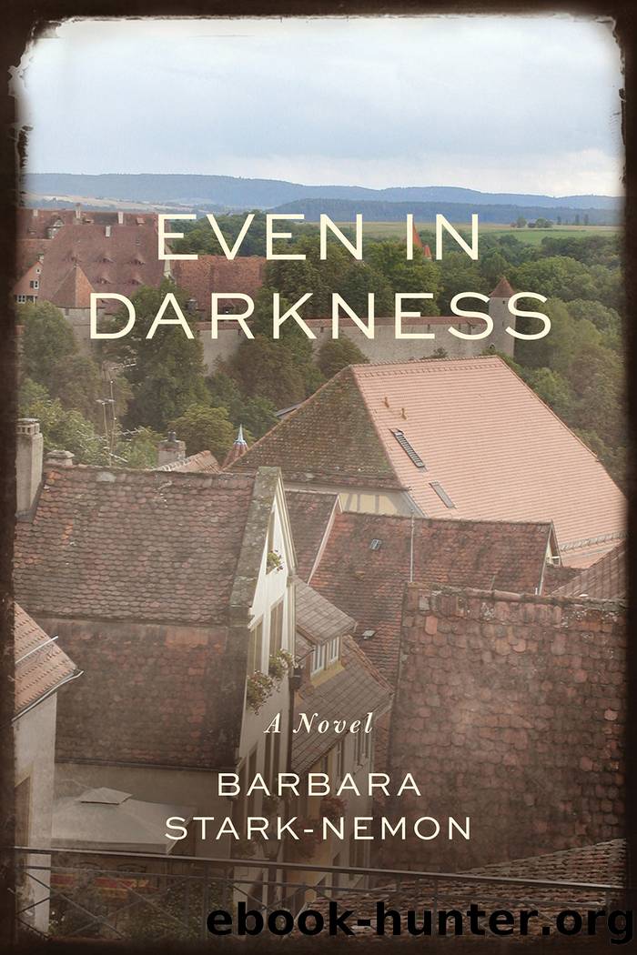 Even in Darkness by Barbara Stark-Nemon