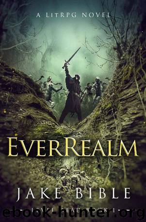 EverRealm: A LitRPG Novel (Level Dead Book 1) by Jake Bible
