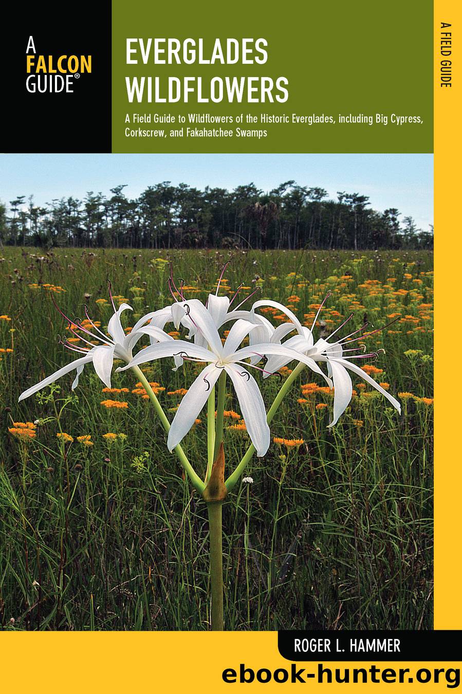 Everglades Wildflowers by Hammer Roger L.;