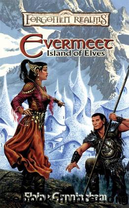 Evermeet: Island of the Elves (Forgotten Realms: Stand-Alone Novel) by Elaine Cunningham
