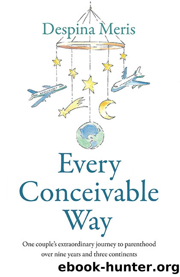 Every Conceivable Way by Despina Meris