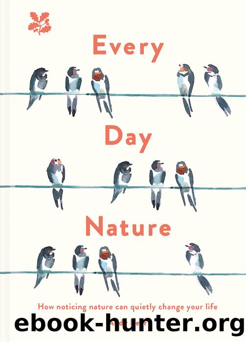 Every Day Nature by Andy Beer