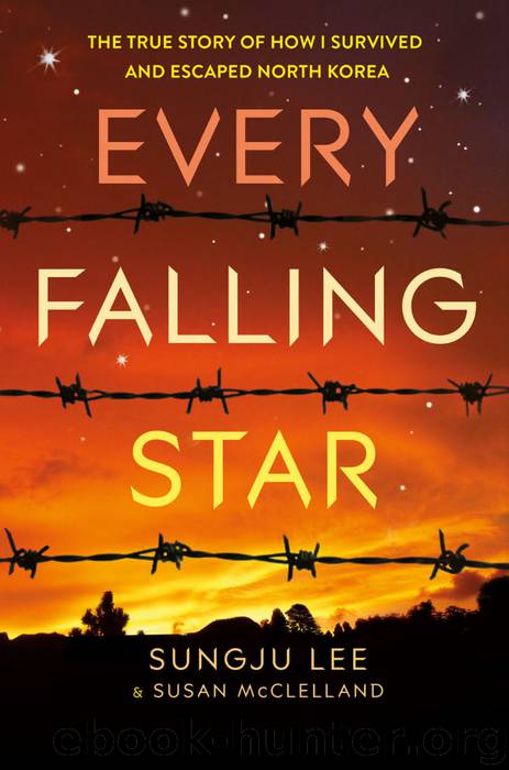Every Falling Star by Sungju Lee