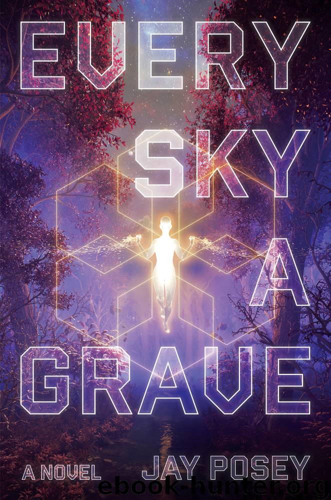 Every Sky a Grave: A Novel by Jay Posey