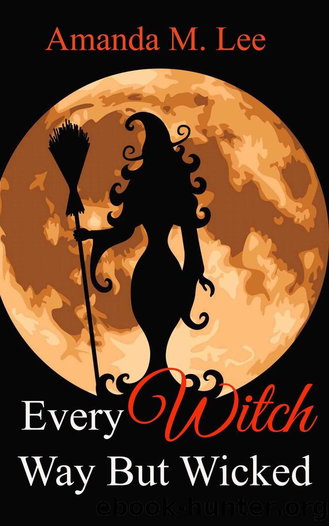 Every Witch Way But Wicked: A Wicked Witches of the Midwest Mystery Book Two by Lee Amanda M