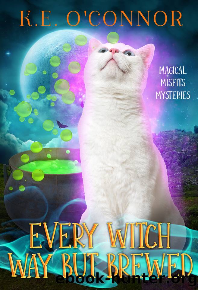 Every Witch Way but Brewed (Magical Misfits Mysteries Book 14) by K.E. O'Connor