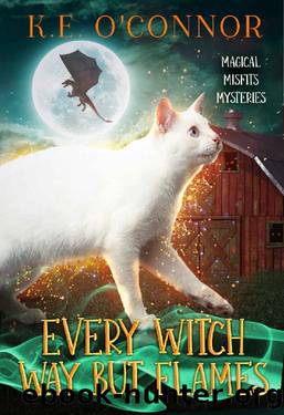 Every Witch Way but Flames (Magical Misfits Mysteries Book 10) by K.E. O'Connor