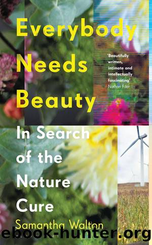 Everybody Needs Beauty: In Search of the Nature Cure by Samantha Walton