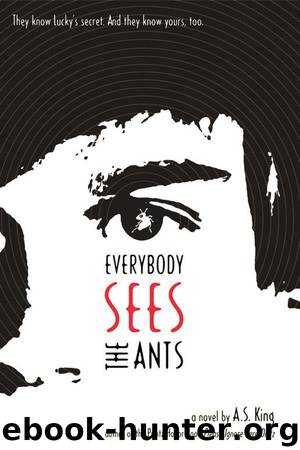 Everybody Sees the Ants by King A.S