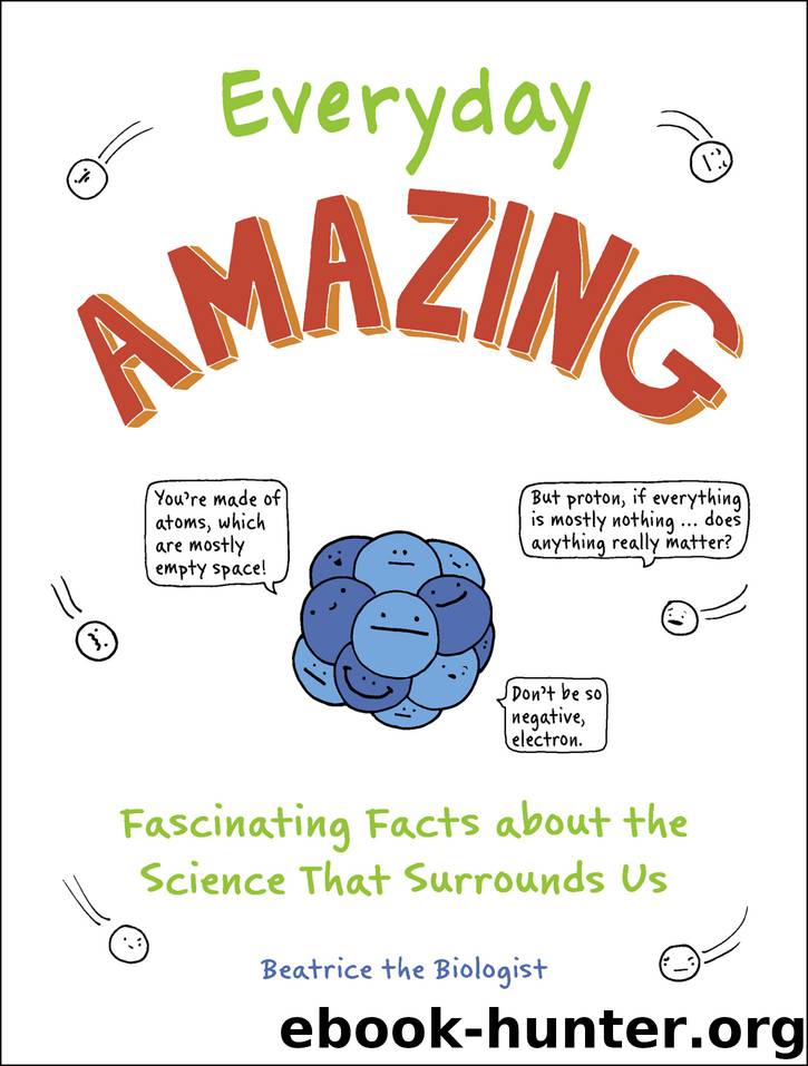 Everyday Amazing by Beatrice the Biologist