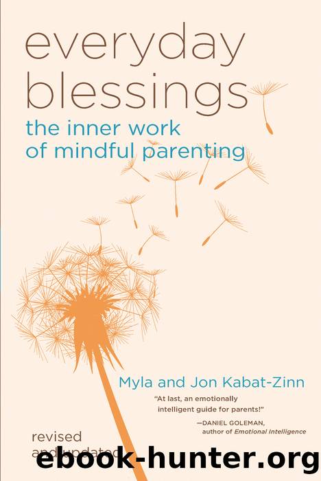 Everyday Blessings by Jon Kabat-Zinn