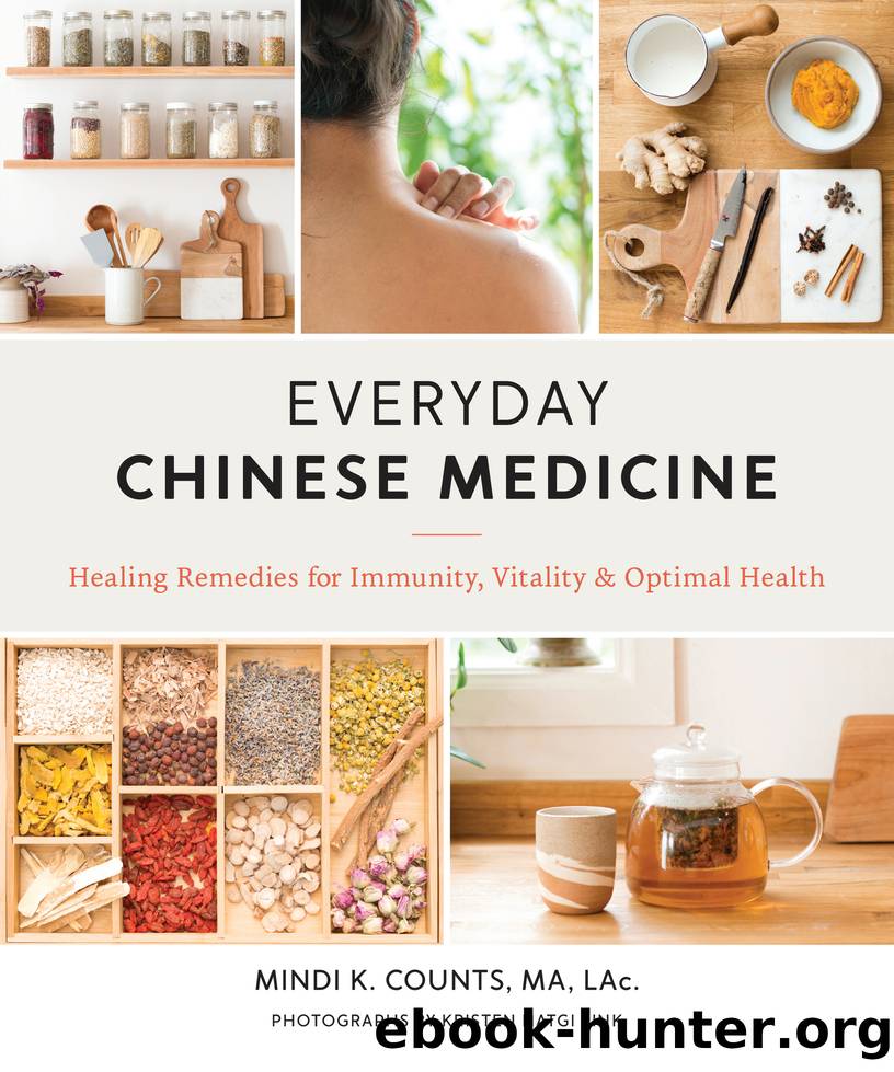 Everyday Chinese Medicine by Mindi K. Counts