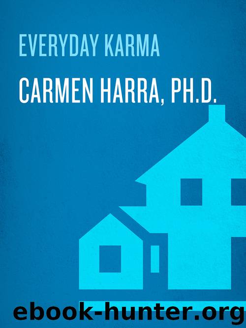 Everyday Karma by Carmen Harra
