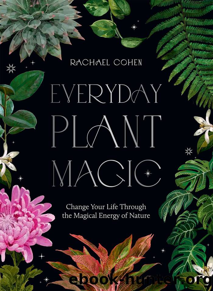 Everyday Plant Magic by Cohen Rachael;