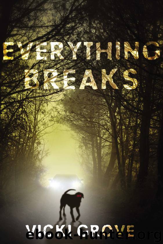Everything Breaks by Vicki Grove