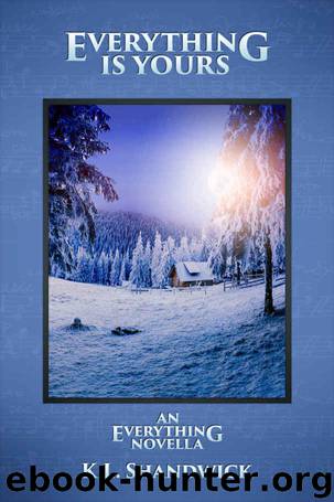 Everything Is Yours (An Everything Novella) by K. L. Shandwick