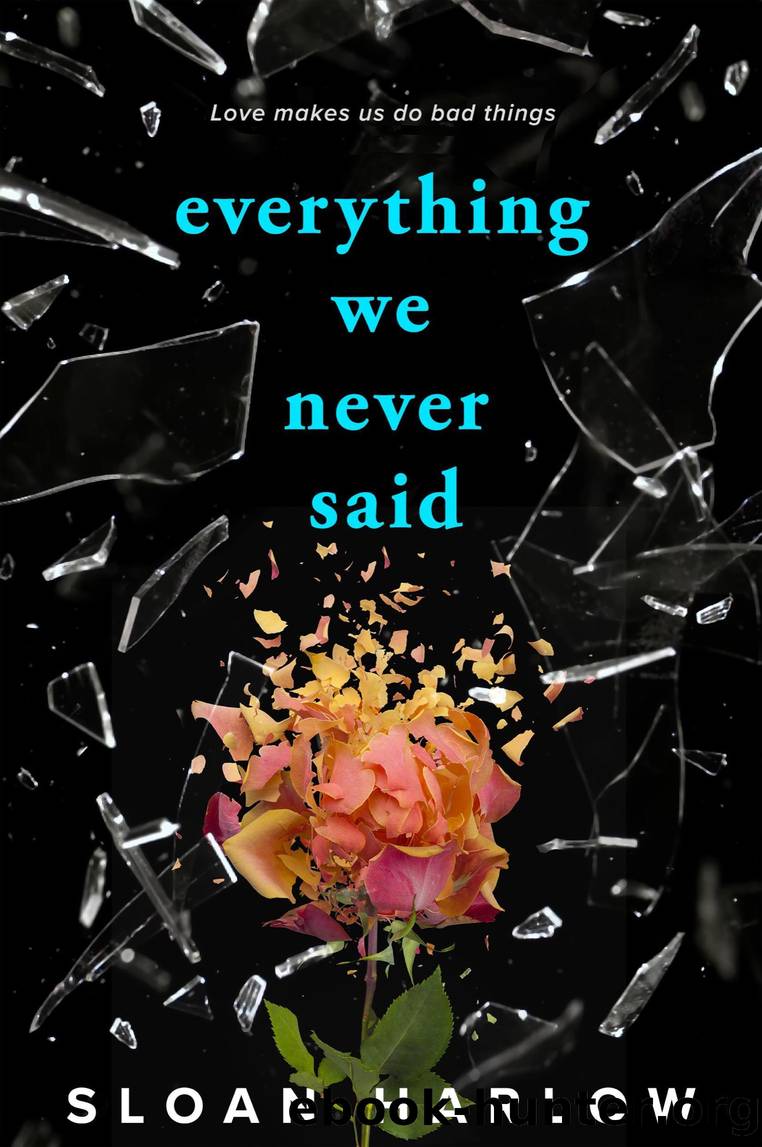 Everything We Never Said by Sloan Harlow