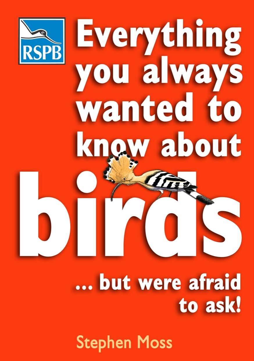 Everything You Always Wanted to Know About Birds ...But Were Afraid to Ask by Unknow