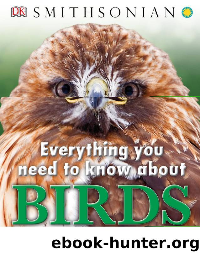 Everything You Need to Know About Birds By DK by Unknown