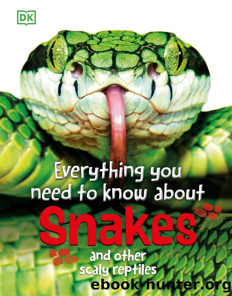Everything You Need to Know About Snakes : And Other Scaly Reptiles (9780744095661) by Woodward John