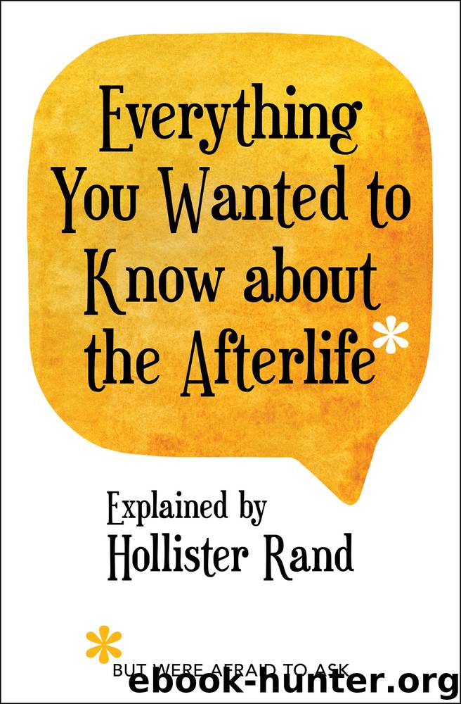 Everything You Wanted to Know about the Afterlife but Were Afraid to Ask by Hollister Rand