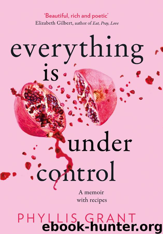 Everything is Under Control by Phyllis Grant