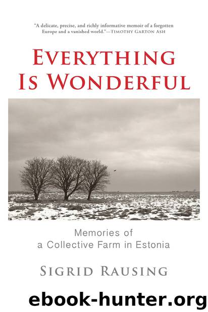 Everything is Wonderful by Sigrid Rausing