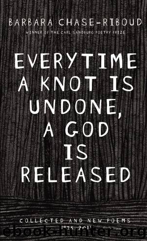 Everytime a Knot Is Undone, a God Is Released by Barbara Chase-Riboud