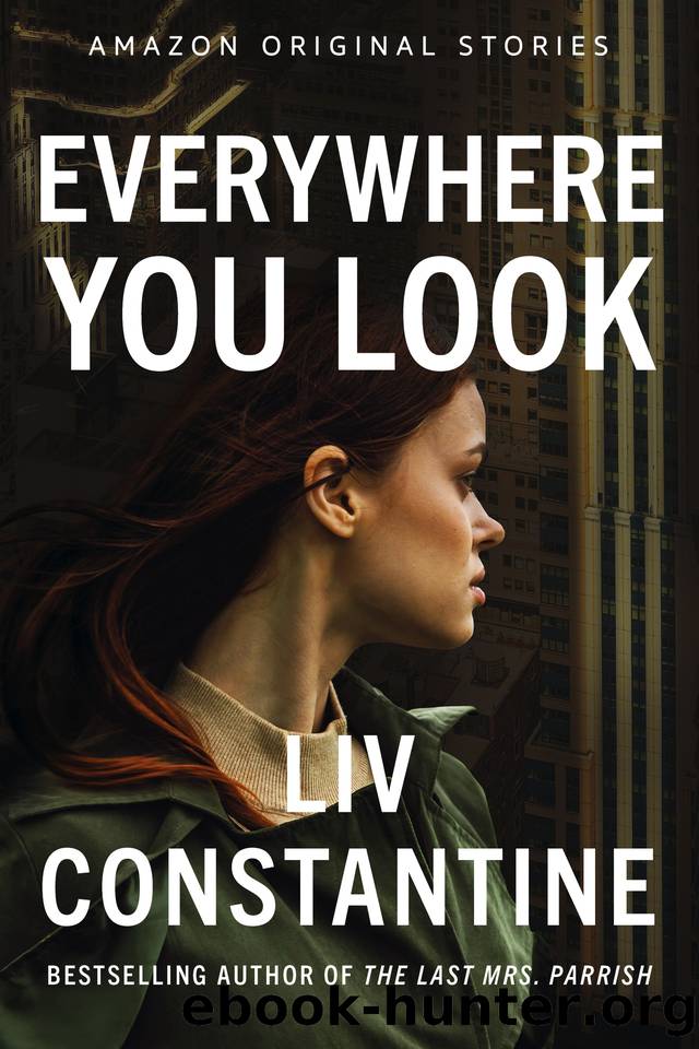 Everywhere You Look (Never Tell collection) by Liv Constantine