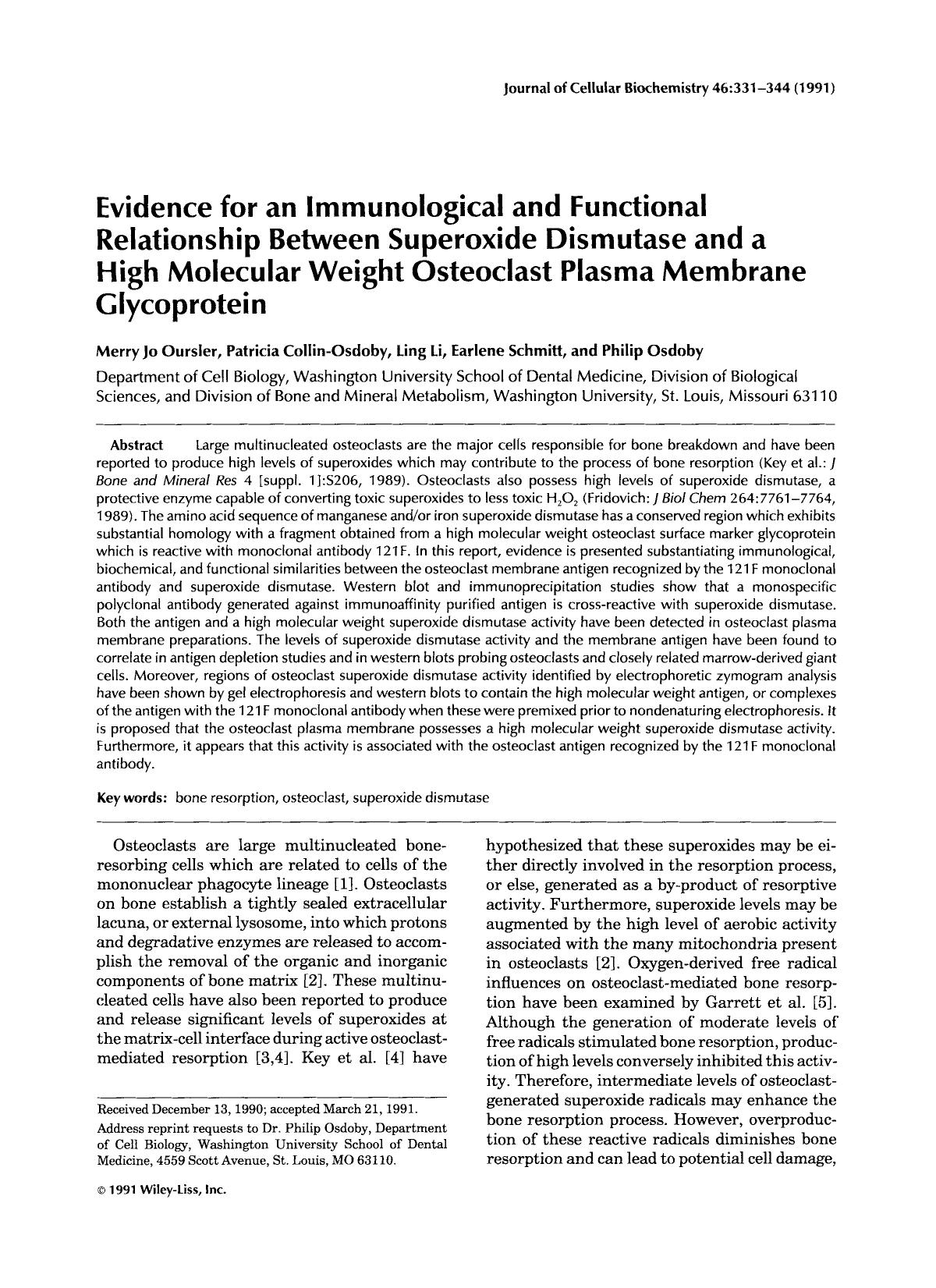 Evidence for an immunological and functional relationship between superoxide dismutase and a high molecular weight osteoclast plasma membrane glycoprotein by Unknown
