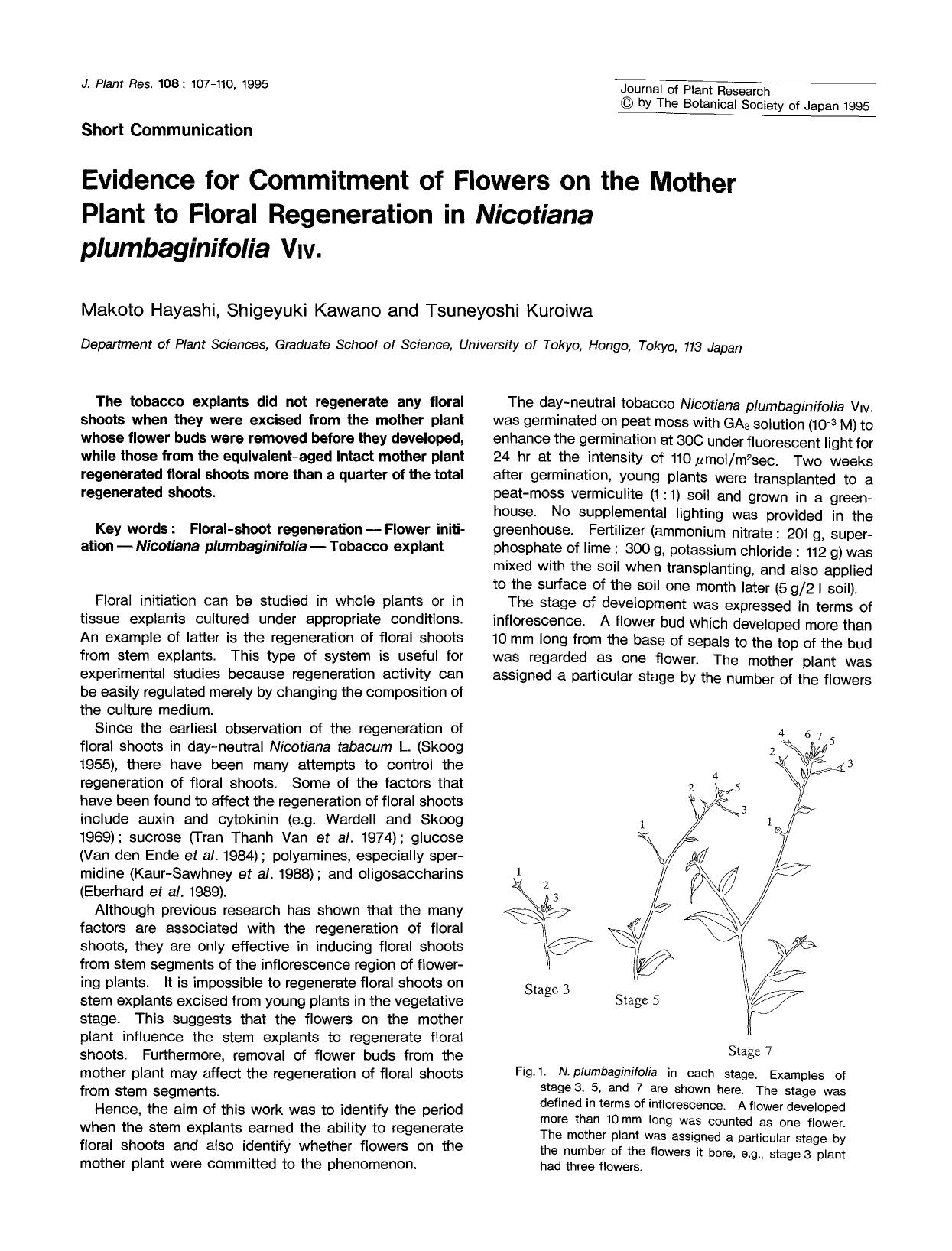 Evidence for commitment of flowers on the mother plant to floral regeneration in <Emphasis Type="Italic">Nicotiana plumbaginifolia <Emphasis> V <Subscript>IV <Subscript> by Unknown