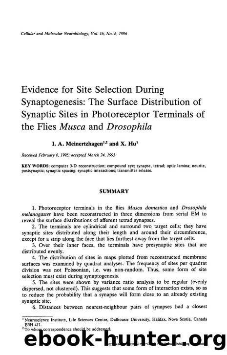 Evidence for site selection during synaptogenesis: The surface distribution of synaptic sites in photoreceptor terminals of the flies <Emphasis Type="Italic">Musca <Emphasis> and < by Unknown