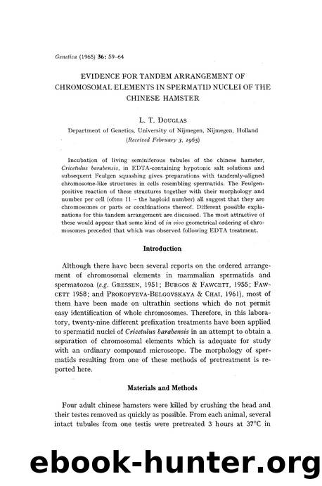 Evidence for tandem arrangement of chromosomal elements in spermatid nuclei of the chinese hamster by Unknown