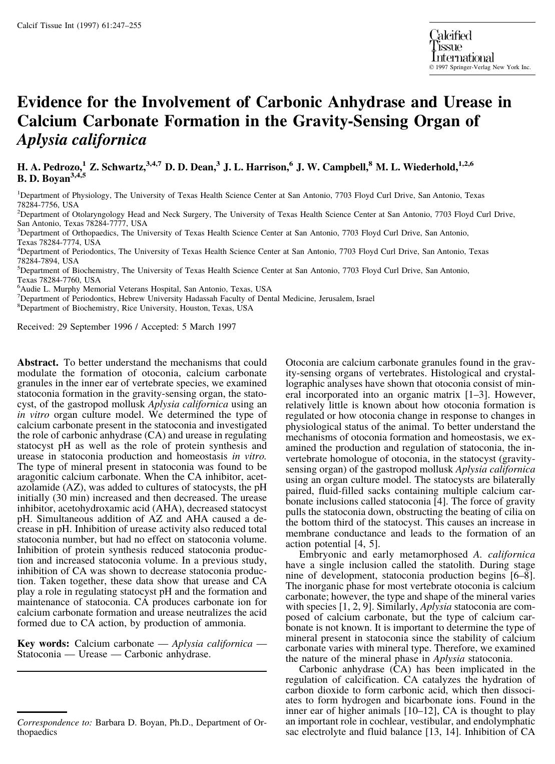 Evidence for the Involvement of Carbonic Anhydrase and Urease in Calcium Carbonate Formation in the Gravity-Sensing Organ of Aplysia californica by Pedrozo H. et al