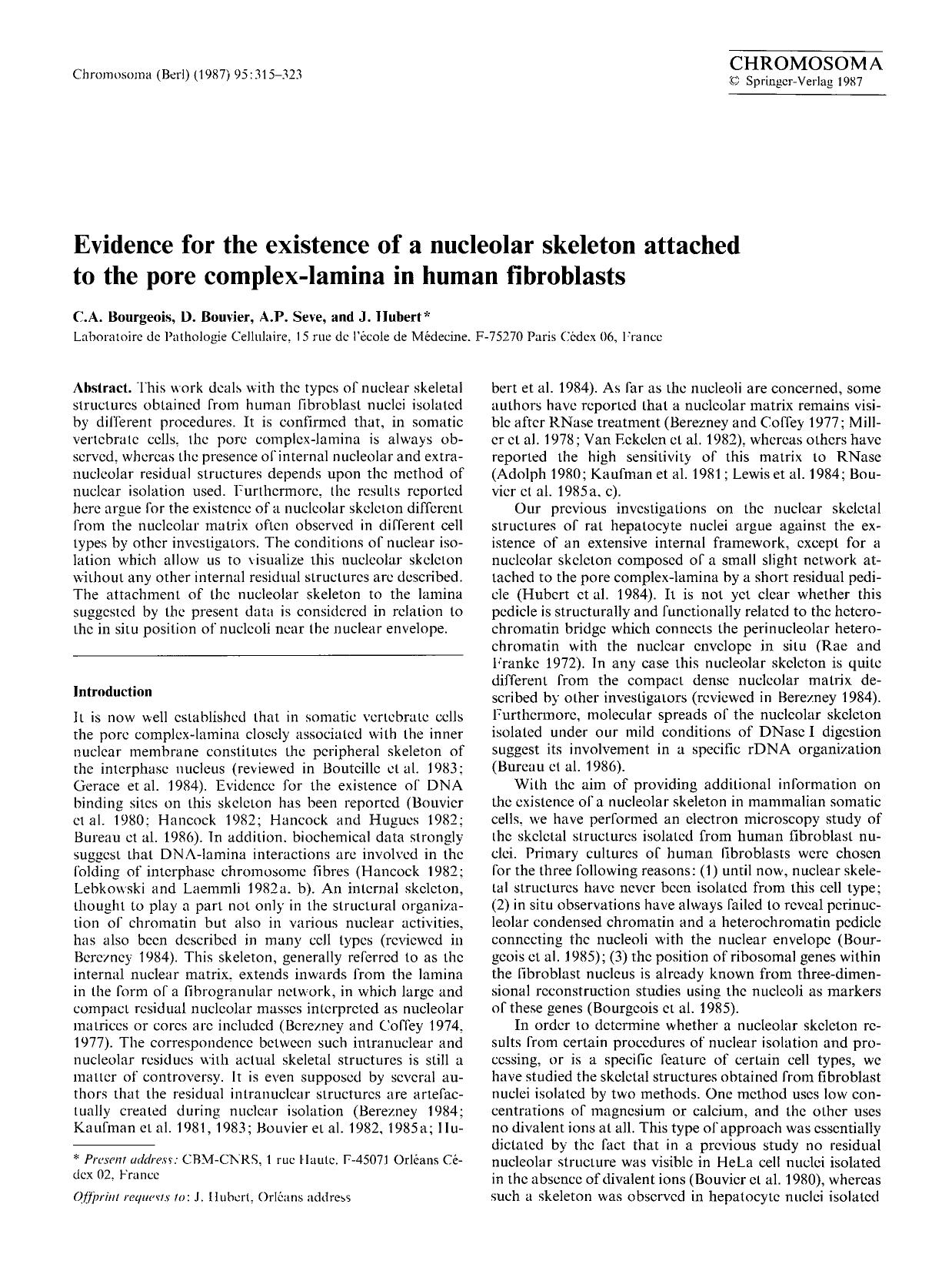 Evidence for the existence of a nucleolar skeleton attached to the pore complex-lamina in human fibroblasts by Unknown