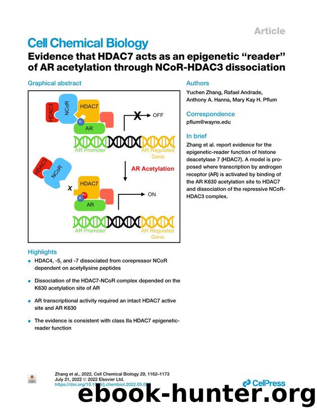 Evidence that HDAC7 acts as an epigenetic “reader” of AR acetylation through NCoR-HDAC3 dissociation by Yuchen Zhang & Rafael Andrade & Anthony A. Hanna & Mary Kay H. Pflum