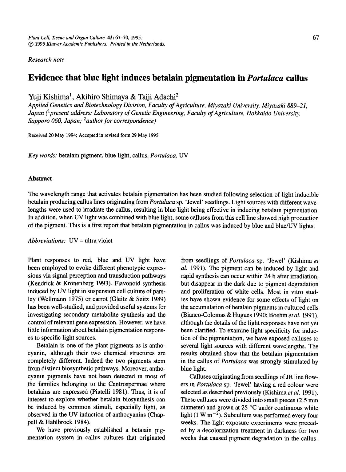 Evidence that blue light induces betalain pigmentation in <Emphasis Type="Italic">Portulaca<Emphasis> callus by Unknown