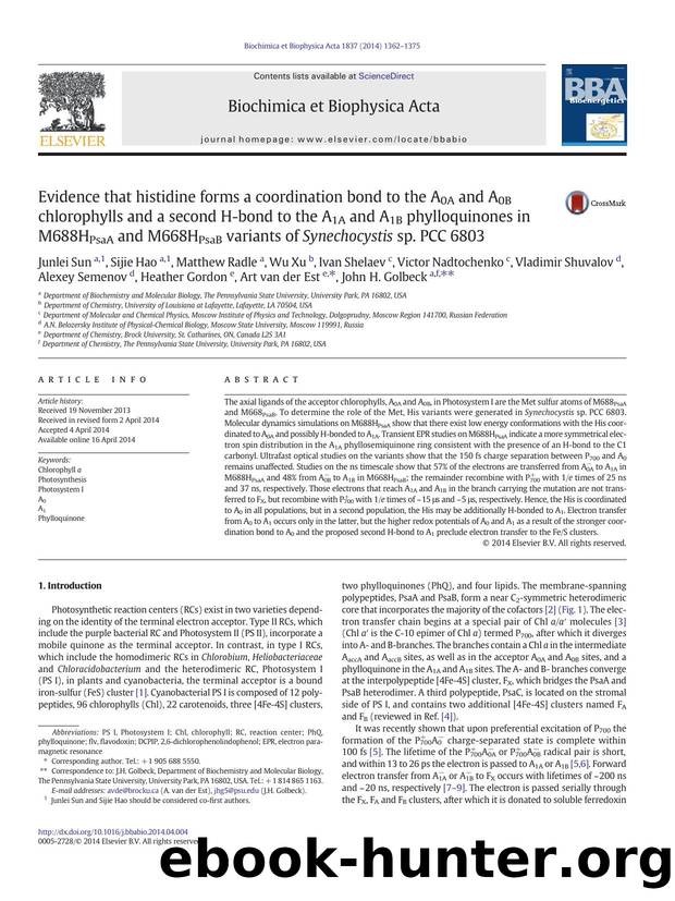 Evidence that histidine forms a coordination bond to the A0A and A0B chlorophylls and a second H-bond to the A1A and A1B phylloquinones in M688HPsaA and M668HPsaB variants of Synec by unknow