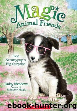 Evie Scruffypup's Big Surprise (Magic Animal Friends #10) by Daisy Meadows