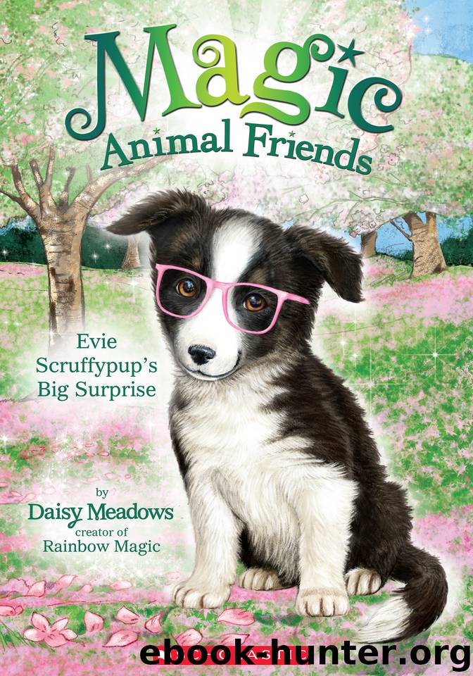 Evie Scruffypup's Big Surprise by Daisy Meadows