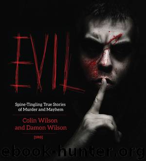 Evil by Wilson Colin Wilson Damon