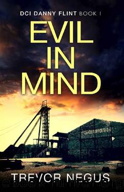 Evil in Mind: A gripping serial killer thriller (DI Danny Flint Book 1) by Trevor Negus