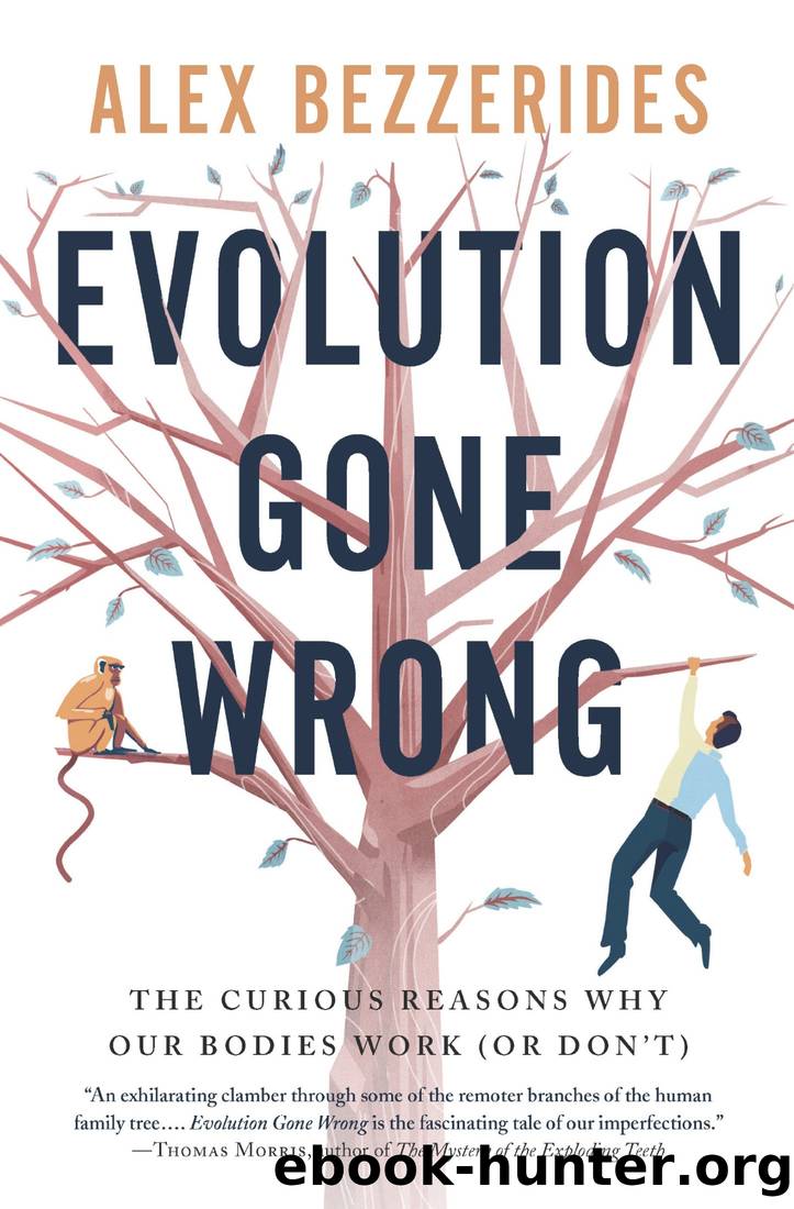 Evolution Gone Wrong: The Curious Reasons Why Our Bodies Work by Alex Bezzerides