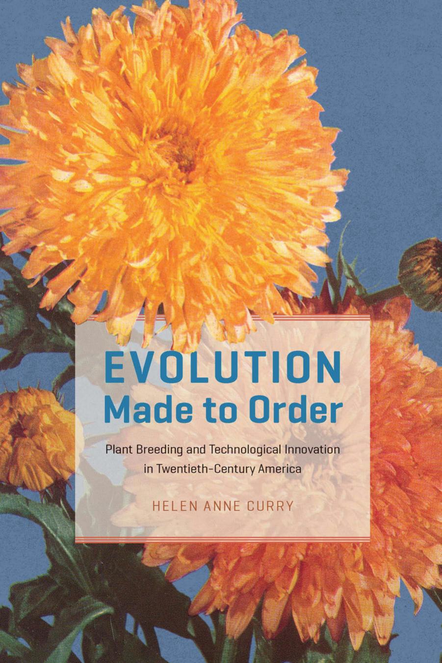 Evolution Made to Order: Plant Breeding and Technological Innovation in Twentieth-Century America by Helen Anne Curry