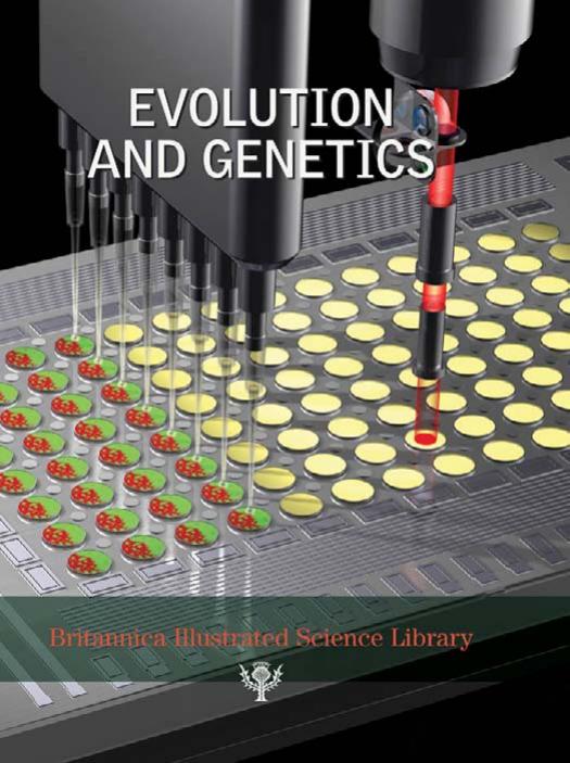 Evolution and Genetics by Sean B. Carroll & Jennifer Grenier & Scott Weatherbee